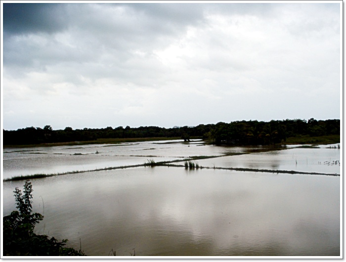 เมื่อวานไฟดับ เน็ตล่มจมคับ    :laughing: :laughing:

มาเดินทางกันต่อคับ --------------------------