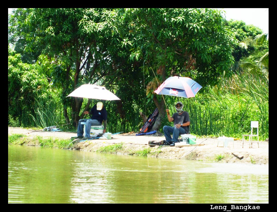 มองไปทางขวา...... น้าจิ้นกำลังอัดปลาอยู่ กับน้าเอ ..... :love:

[q]tiess  : พี่เอใจดีครับ ข้อ10แกเ