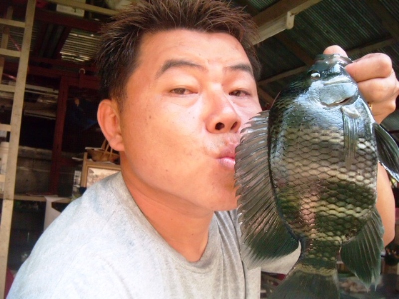 
ตัวอวบน่ากินเลยเชียวน๊าาาาาาาาาา