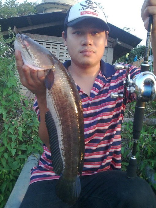 สวัดดีครับ P'มงเมื่อวันก่อนไปกับแบงค์มาจัดมาสอง ตามสูตร.............. :love: 