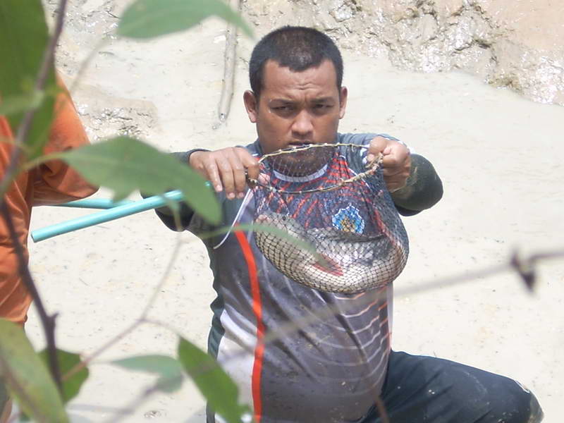 ตัวที่ 3

