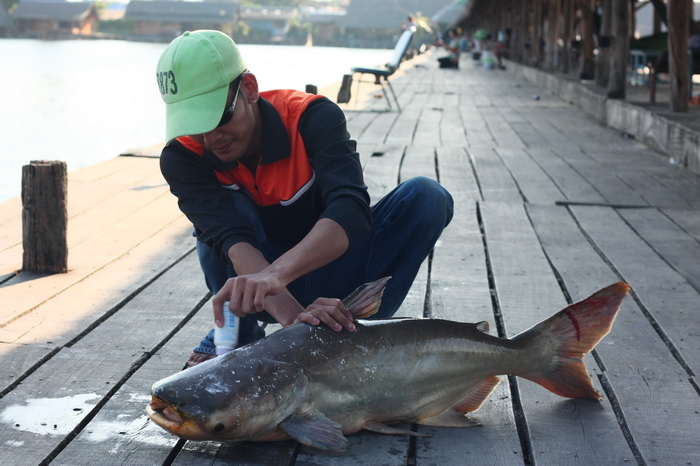 [q][i]อ้างถึง: NATTAUK posted: 25-04-2553, 20:52:06[/i]

 [b]ก่อนอื่