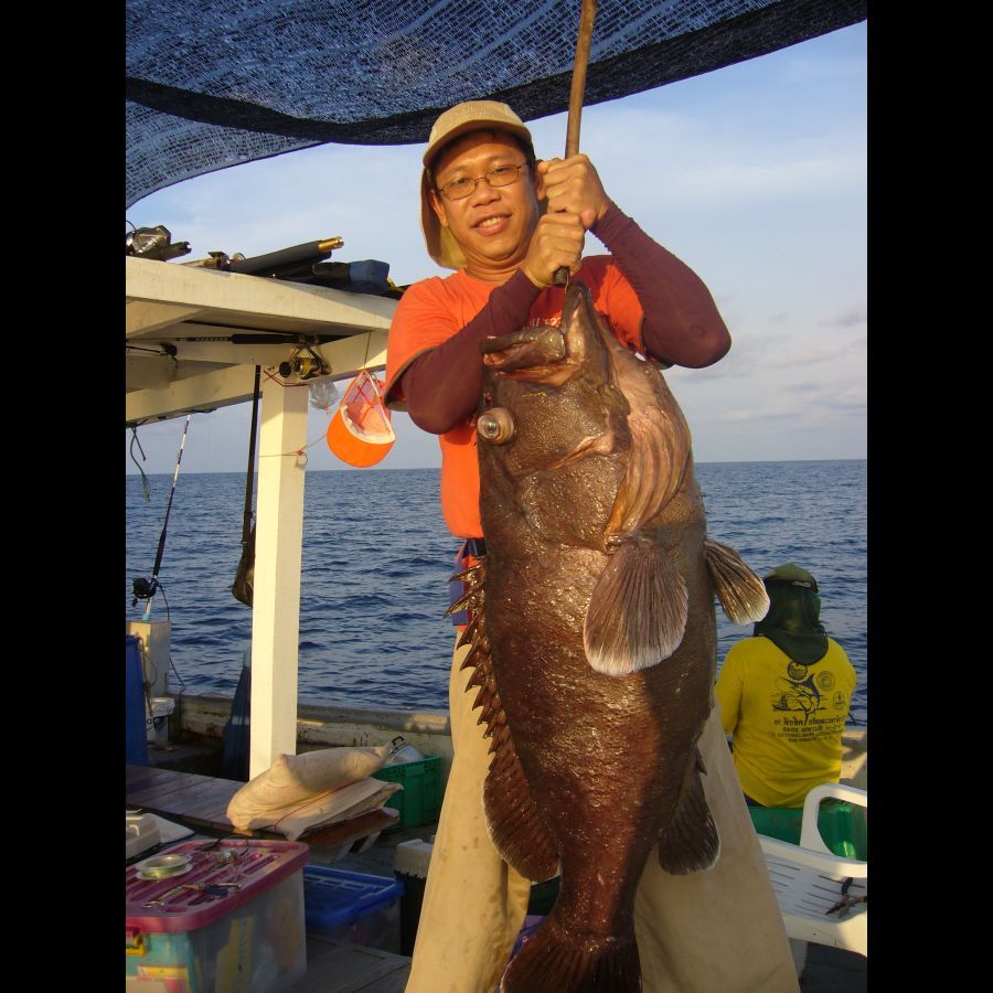     ตามด้วยผม ขอ 1 รูป ไม่ต้องเหนื่อย แต่ได้ถ่าย  เอาหล่อน่ะ :laughing: :laughing: