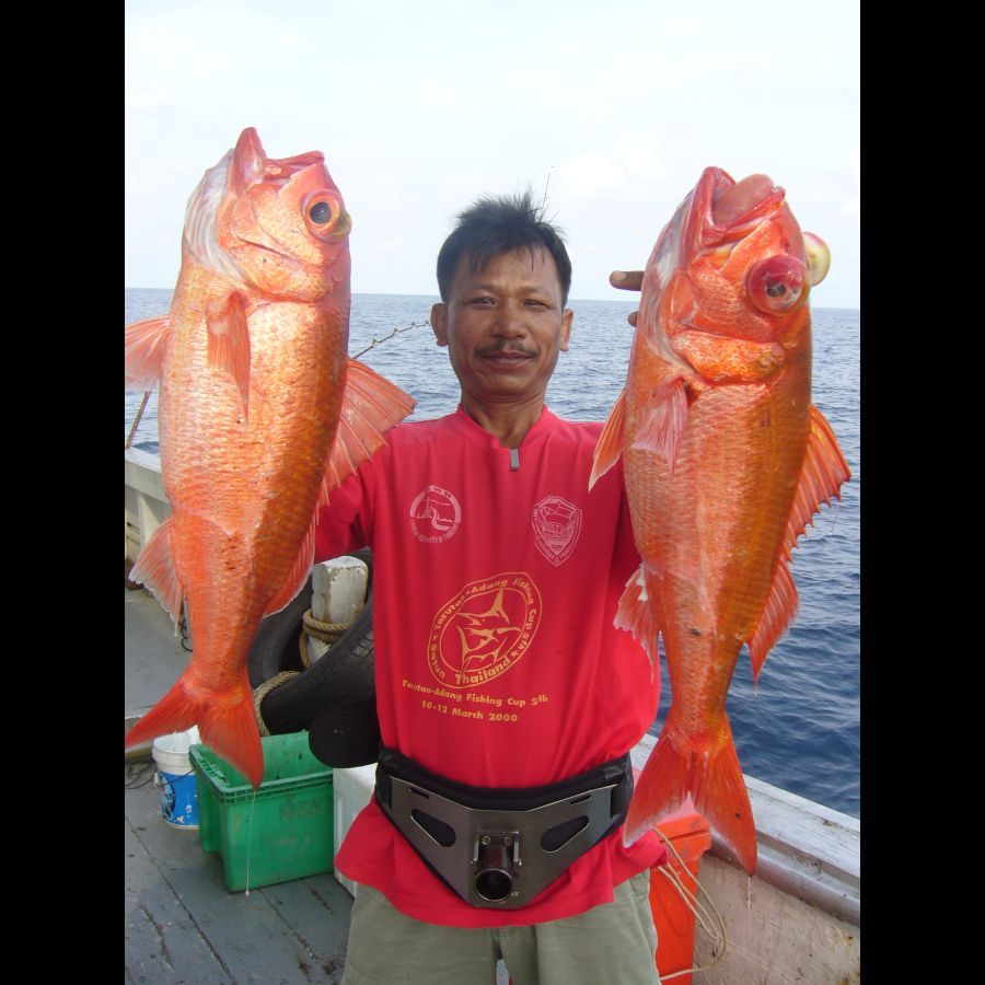    ส่วนพี่อนันต์ มาเป็นแพคคู่ ครับ ถู