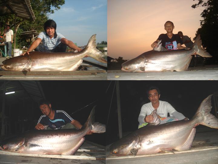 ขอขอบพระคุณน้าๆที่เข้ามารับชมและติดตามผลงานของเด็กวัดแก๊งค์อีกครั้งนะครับ... :cheer: :cheer: :cheer: