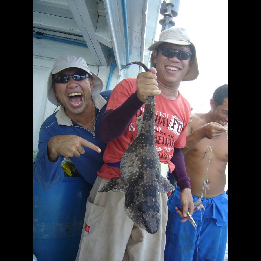    โกพงษ์ชอบ ใจใหญ่ ของแปลกๆๆ  เฮกันครับ ๆๆๆๆๆ :laughing: :laughing: :laughing: