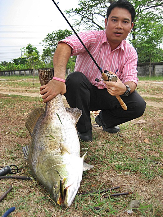 

ตื่นเต้นกันมาก.....ไม่มีเวลาถ่ายตอนเล่นปลา.........ขออย่างเดียว.....



 [b]เอามานนขึ้นมาให้