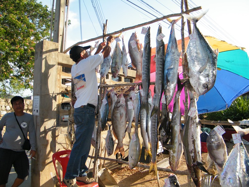 น้าไพวัลย์ ช่วยทั้งแขวน  ช่วยทั้งปลดออก....ขอบคุณครับน้า :cheer: :cheer: :cheer: :cheer: :cheer: