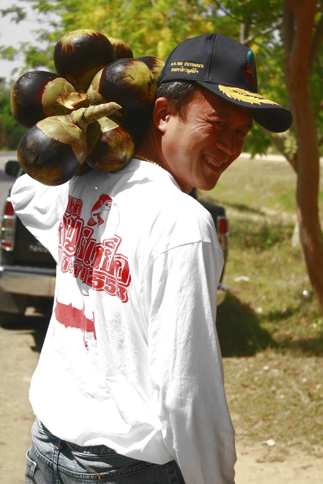 แวะอุดหนุน ขนมตาล กับลูกตาล และน้ำตาลสดกันก่อนครับ  :cheer: :cheer: :cheer: