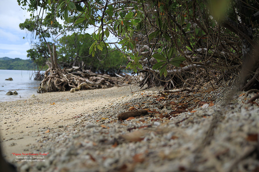 สภาพชายหาดตามเกาะต่างๆ และน้ำทะเล 