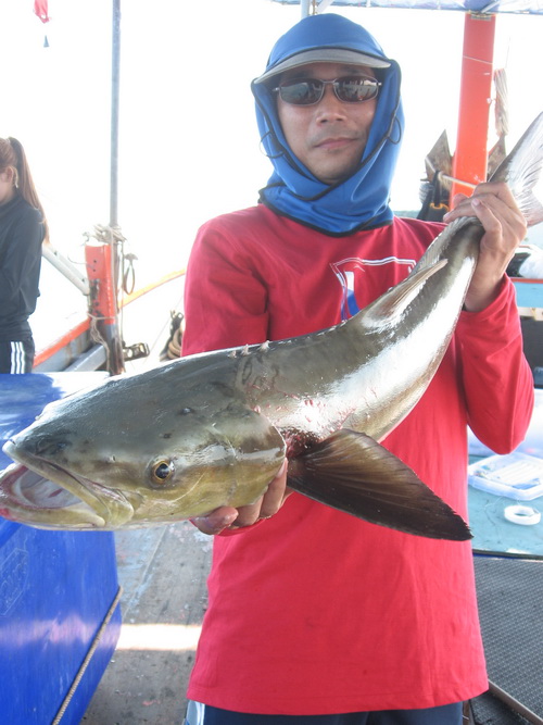ไต๋เดชาFeat.ไต๋ทาน พาตะลุยAngler