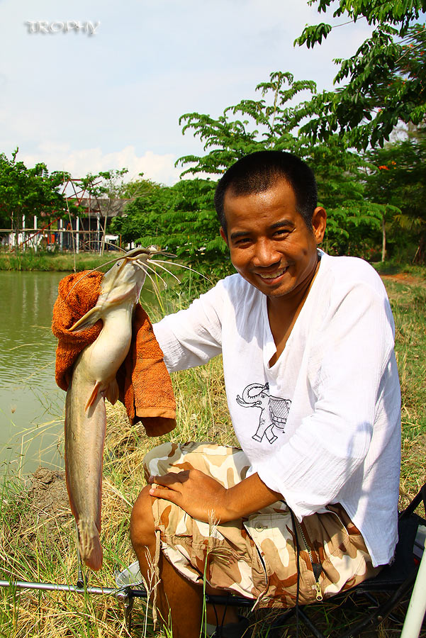 ได้ปลาดุกมาทำผัดเผ็ดอีกตัวครับ ตัวไม่เล็กเลย อ้วนดีจริงๆ  :smile: