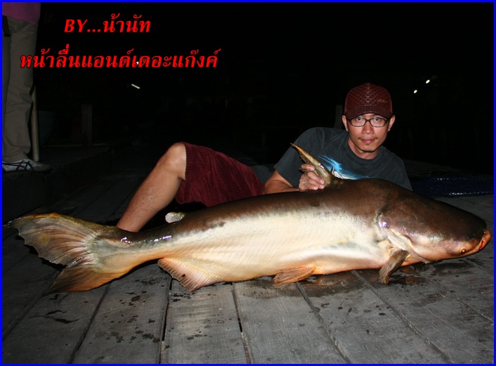 
 :grin: :grin: :grin:  ผลงานของน้านัทอีกแล้ว  :cheer: :c