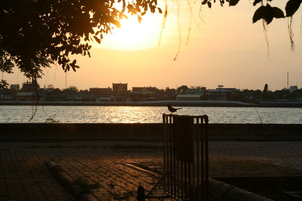 [q][i]อ้างถึง: parasaild44 posted: 01-05-2553, 18:21:40[/i]

+ครับ
บรรยากาศสวยจัง[/q]

        