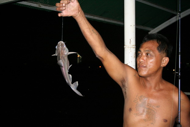 
                               โชว์เหมือนกัน