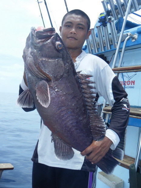 ถ่านดำๆ


[q][i]อ้างถึง: sparrowman posted: 02-05-2553, 01:01:27[/i]
