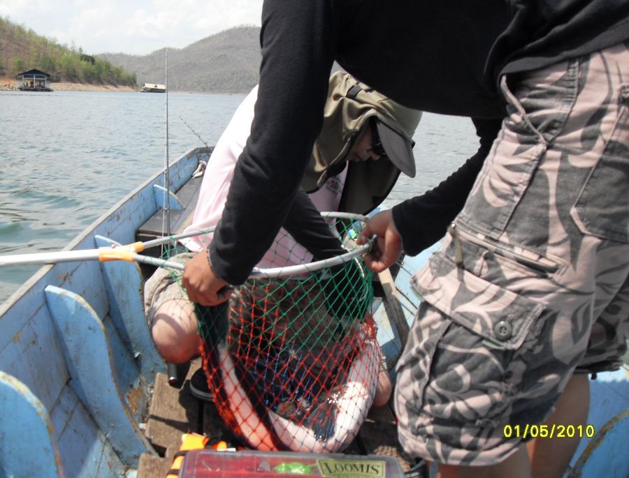 สุดท้ายยอมขึ้นเรือแล้วครับ  รีบปลด รีบถ่าย รีบปล่อยครับ  :cheer: :cheer: :cheer: :cheer: :cheer: :ch