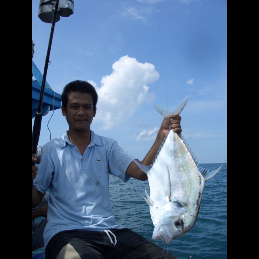 ภาพสวยๆ :laughing: :cool:
