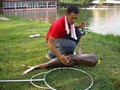 [q][i]อ้างถึง: jarato posted: 03-05-2553, 23:46:49[/i]

ไปมา2วัน คับ สนุกมากคับ 
ปี่นี้เหยื่อ ปลอ