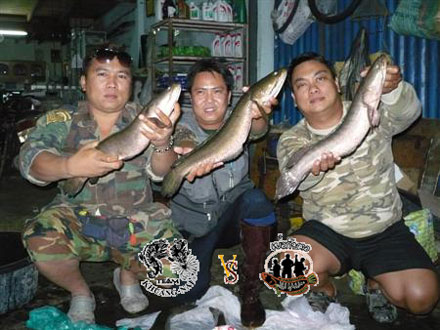 +1  ....ตามมาชมแล้วนะคับน้อง เยี่ยมมากๆ  :cheer: :cheer: :cheer: :cheer:

(((( เย็นนี้ไปงานวันเกิด