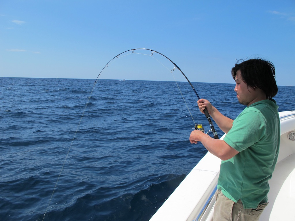 Shimano Stella 5000FA - Tuff Line - Daiwa Saltiga Rod  :cool:
