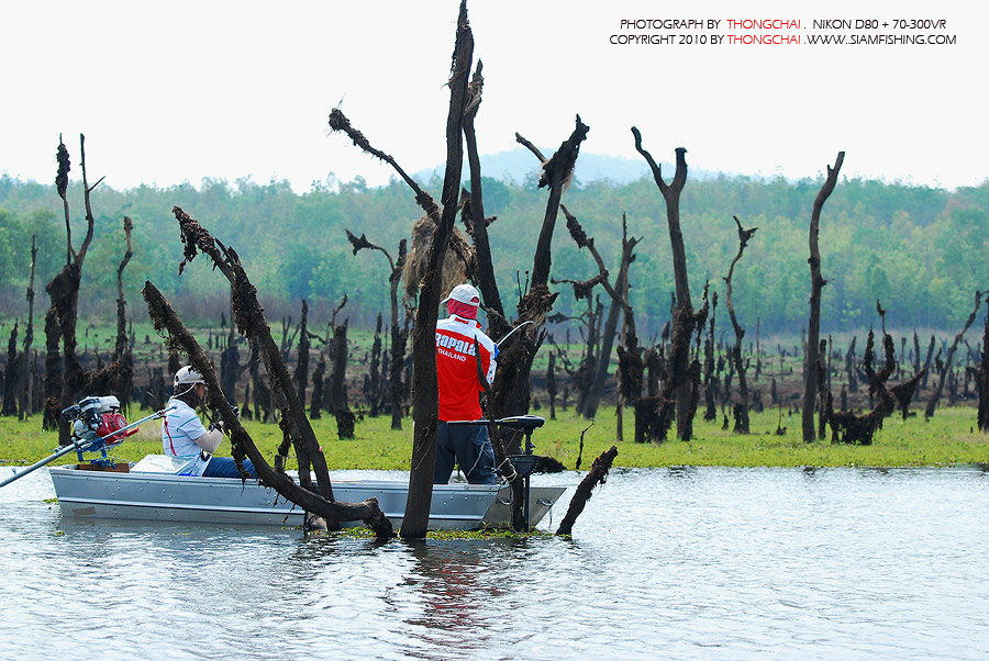 ดูมุมถ่ายภาพ ไม่ดีเลยนะครับ เพราะผมผูกเรือไว้กับต้นไม้ แล้วใช้ เลนส์เทเล ส่องเอา :cool: :cheer:


