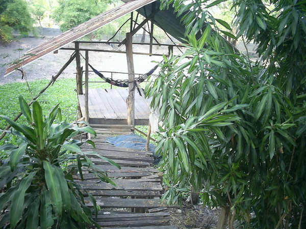 เดินทางสู่หมายในบ้านเพื่อหาปลาเพิ