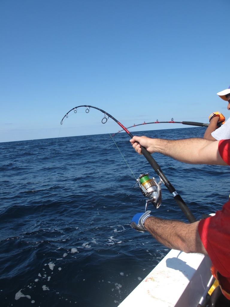 Shimano Stella SW20000PG - MC Works 516ss  :umh: