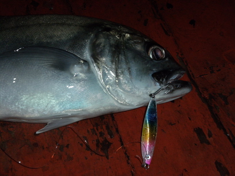 เหยื่อจิ๊กขนาด60 กรัมของANGLER ' S PAL  กัดดีจริงๆทุกสีครับ เหยื่อตัวเดียวกันกับของน้าตี้ ฟิชเชอร์ 
