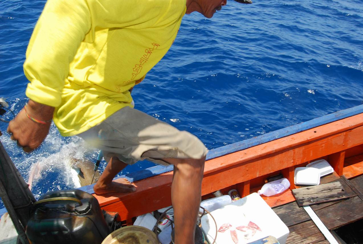 เรือลำเล็กต้องลากไปใส่ท้องเรือกันมันดิ้น   :cheer: :cheer:

น้ำหนักขึ้นชั่ง 20.40Kg  [b]น้ำหนักขึ้