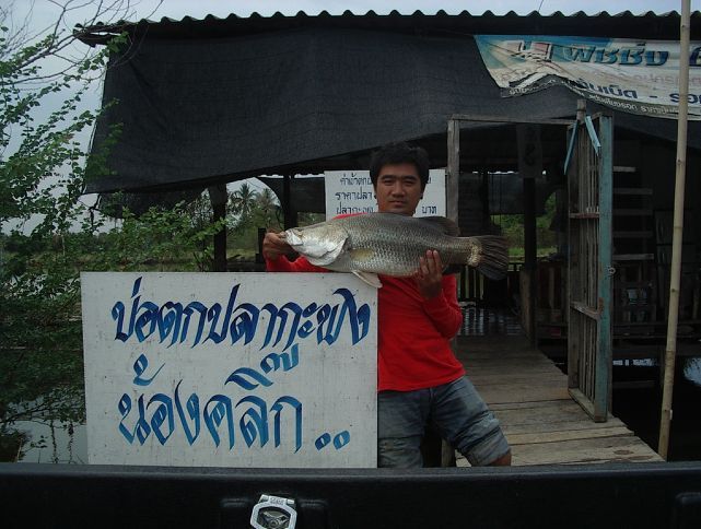  :smile: :smile: :smile:กลับมาที่จุดนัดพบคับ :smile: :smile: :smile: