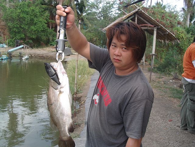  :laughing: :laughing: :laughing:กระพงขัง ก็ตกเป็นนะ :laughing: :laughing: :laughing: