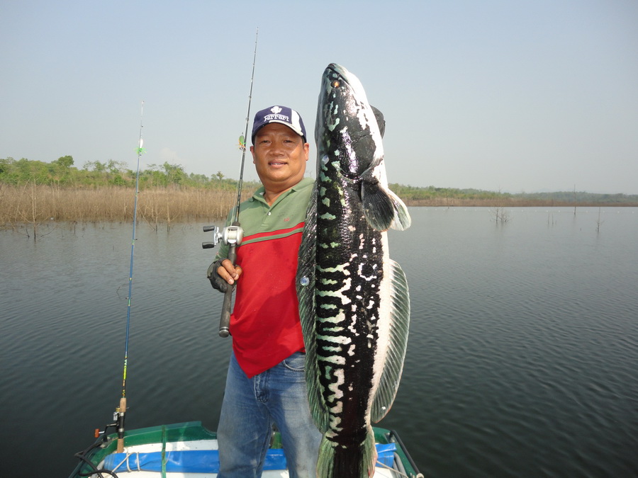 โชว์อุปกรณ์คู่ใจหน่อย 
รอก Abu revo stx
คัน Arcadia highlander เวท 8-16
สายเมน Rapala Titanium br