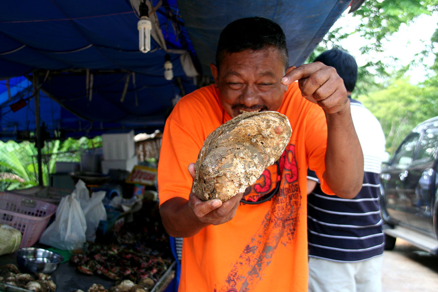 แต่.... น้าไก่rin9 บอกว่า..อย่างผ้มๆๆ... มันต้องหอยหย่ายๆ แบบนี้เลยครับ   :ohh: :laughing: :laughing