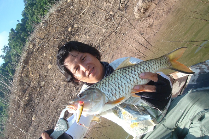 มาอีกแล้ว :laughing: :laughing: ฆ่าไม่ตายหรอกครับพี่น้อง :laughing: :laughing: :laughing: :laughing: