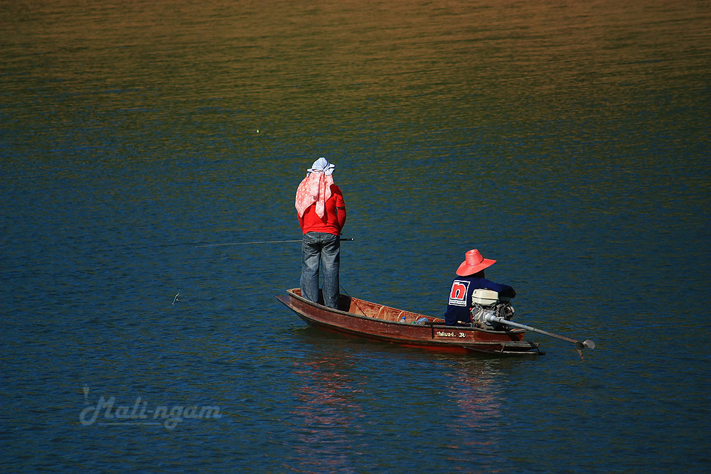 น้าเต่าก็  มารอปลาจิบเช่นกัน.........ส่วนน้องเพลง...นอนหมดแรงในเรือ  :laughing: