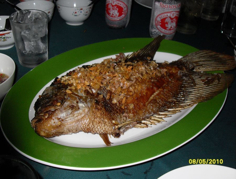 และแล้วก็มาถึงเวลา กินเลี้ยงกลางคืนครับ  :cheer: :cheer: :cheer: :cheer: :cheer: :cheer: :cheer: