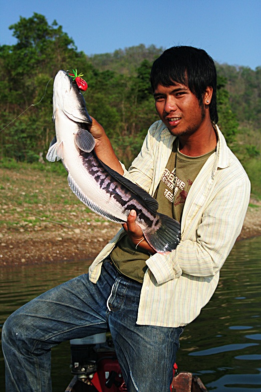 กบโฟไม่เคยทำให้ผิดหวังเลย.....ขอบบอก :grin: :grin:
