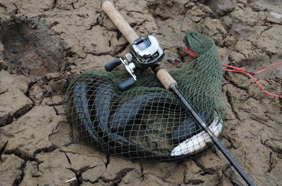 หวัดดีครับน้าคนเย่อแดนบูรพา
หวัดดีครับน้าsukda_s
หวัดดีครับน้าfishingjoke 