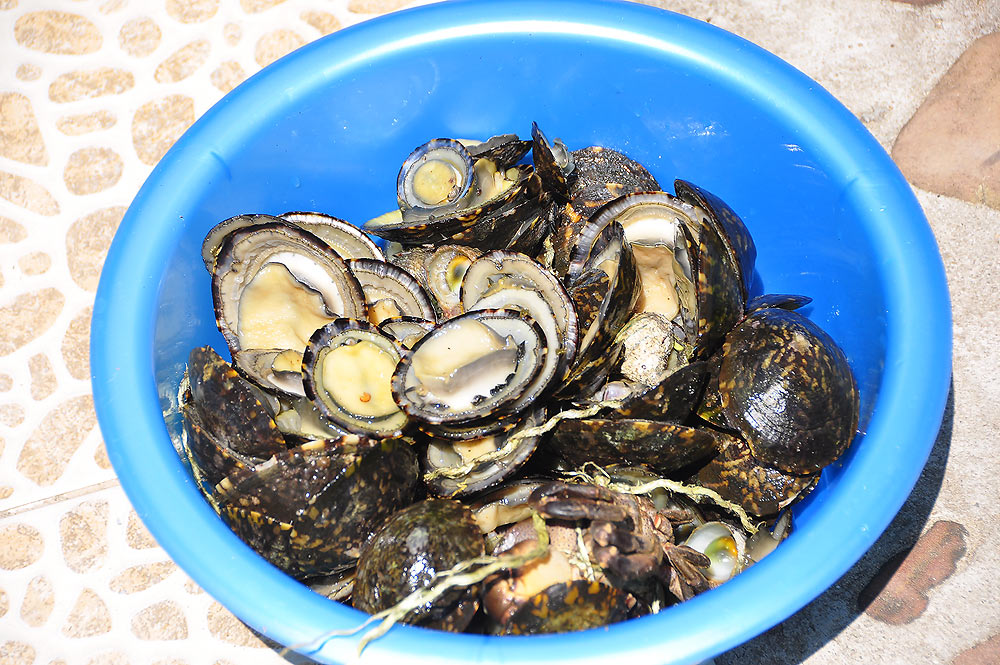 ทีเด็ดสำหรับมื้อนี้ครับ เมือคืนเดินส่องไฟเดินตบตามโขดหินมาครับ