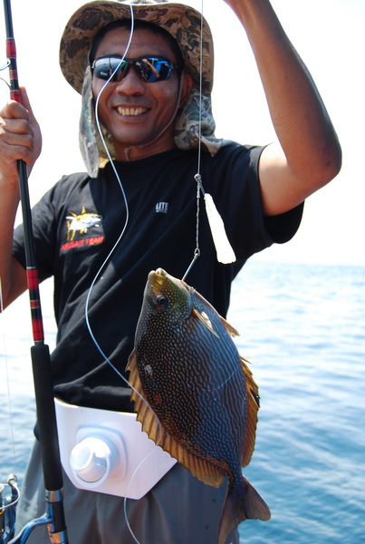 - รอก Shimano Stella 20000FA
- คัน Daiwa Saltica PE8
- Leader Sling 100lb
- เบ็ด 9/0 2ตัว
- เหยื