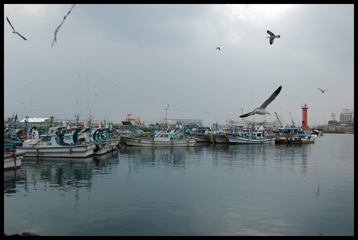 ท่าเรือที่นี่ครับ เรือเยอะมาก :smile: