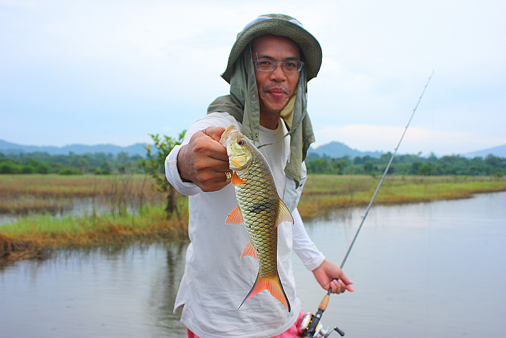 [q][i]อ้างถึง: nonm_actionlure posted: 17-05-2553, 17:48:55[/i]



[q][i]อ้างถึง: นักล่าแห่งลำน้