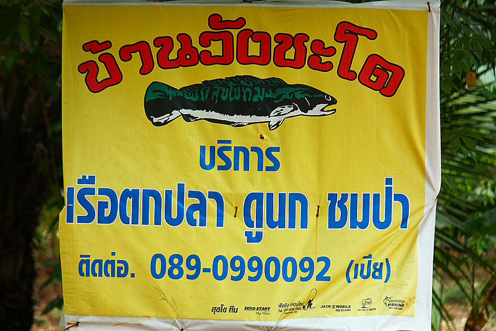 สนใจตกปลาห้วยแร้งครับ....ติดต่อได้ที่นี่ ชัดเจนครับ...แต่ลายชะโดมันทะแม่ง ๆ นา... :laughing: :laughi