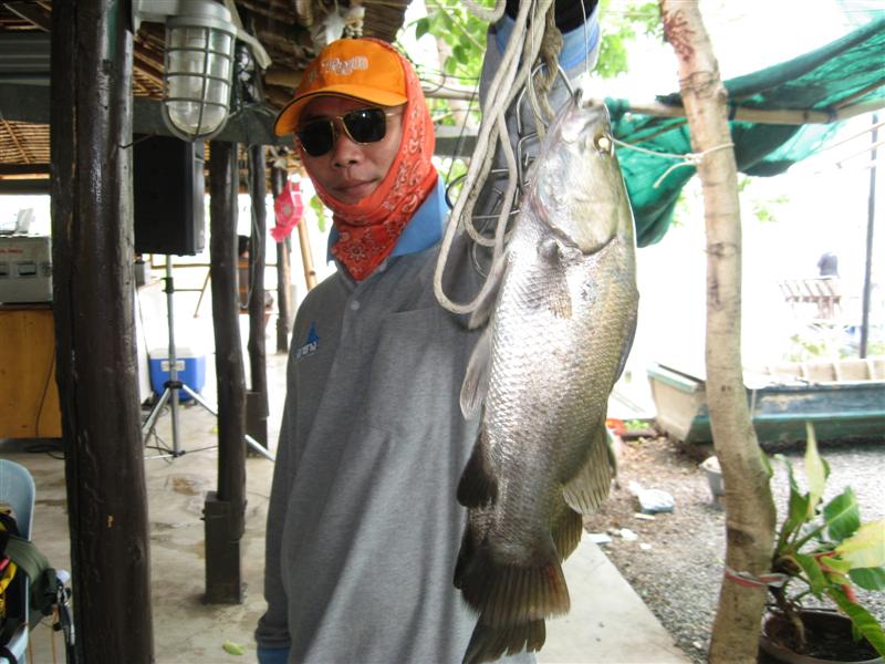 นี่ก้อ ล๊อ หล่อ  :cool: :cool: :cool: :cool: :cool: :cool: :cool: