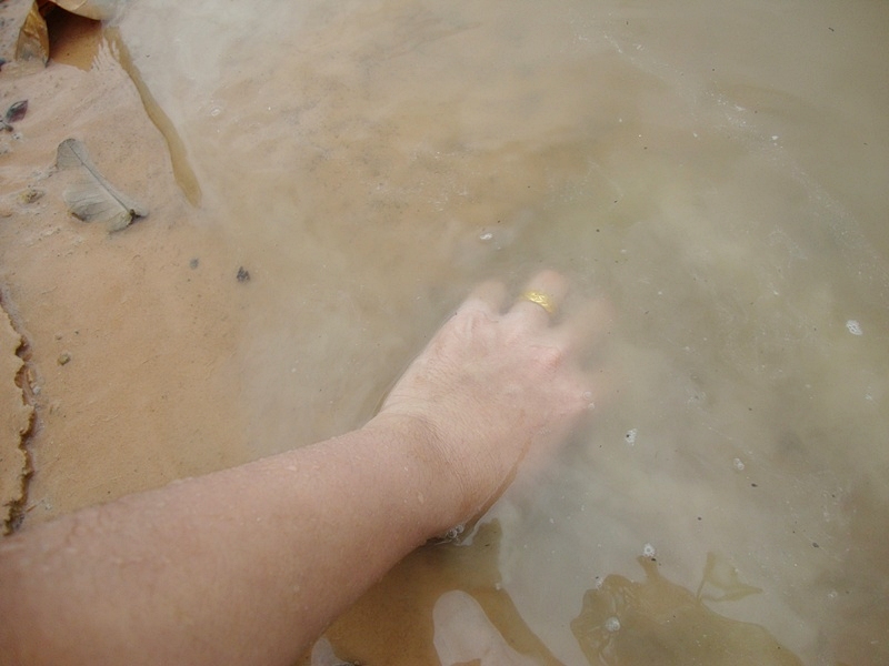  [center][b]มือก็คลำๆ ดูริ่มฝั่ง หอยจะฝังตัวอยู่ในทราย และจะชี้ตูดขึ้นค่ะ[/b][/center]

[center] :