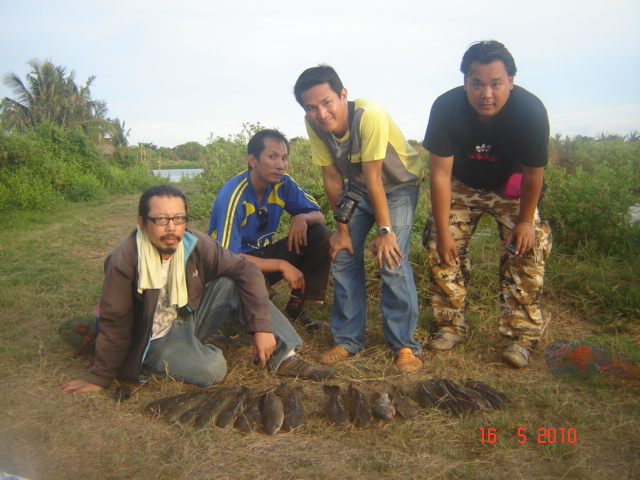 รูปรวมกล้องผมครับ  คนหล่อไม่ได้ถ่าย   






























