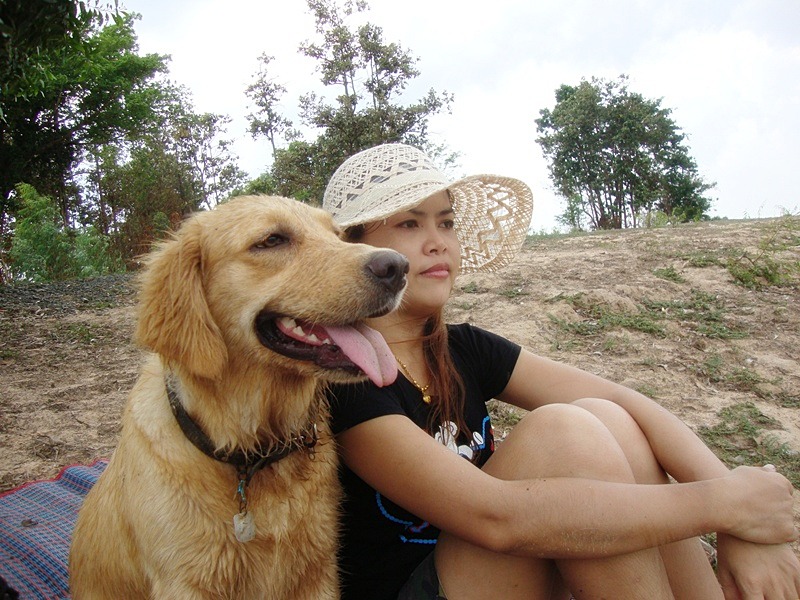  [center][b]ขึ้นมานั่งเฝ้า ดูแลความเรียบร้อยบนฝั่งเป็นเพื่อนกันค่ะ[/b][/center]
