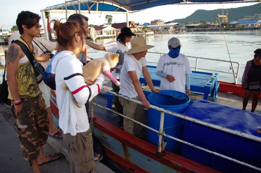 เรือมาแล้วครับ ใหญ่โตกว้างขวางดีจริงๆ :cheer: :cheer: :cheer: