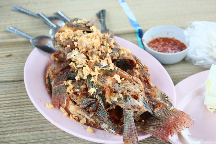 [q][i]อ้างถึง: sss003 posted: 18-05-2553, 16:26:06[/i]

บ่ออยู่แถ